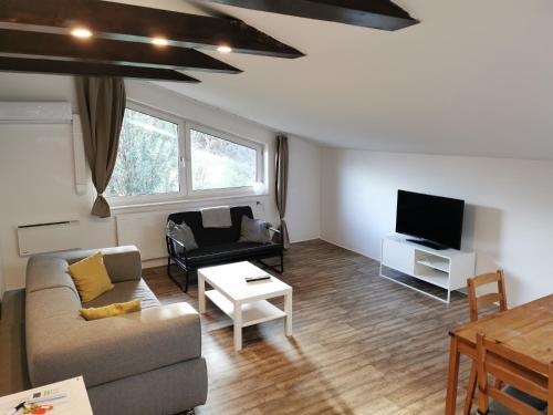 ein Wohnzimmer mit einem Sofa und einem TV in der Unterkunft Ferienunterkünfte in Sievering in Wien