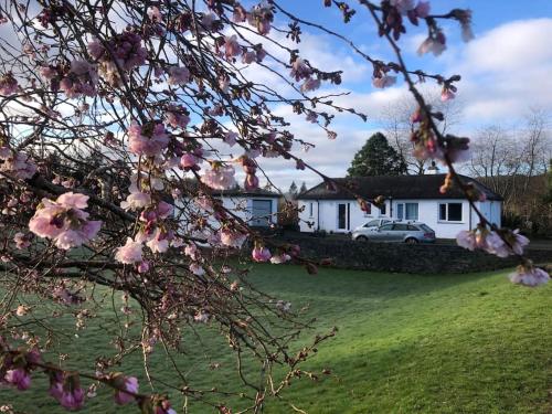 a house with a car parked in a yard with pink flowers at Meadowside, Troutbeck Bridge with offsite health club in Windermere