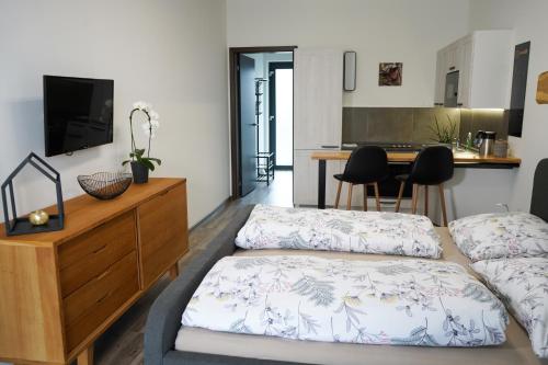 uma sala de estar com 2 camas e uma cozinha em Hofmann Apartment em Cheb