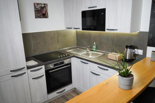 uma cozinha com um lavatório e um fogão forno superior em Hofmann Apartment em Cheb