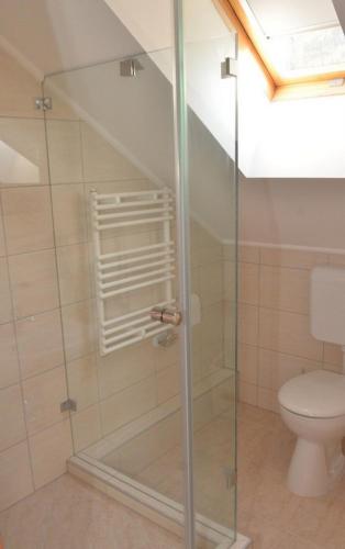 ein Bad mit einer Glasdusche und einem WC in der Unterkunft Belvárosi Vendégház in Mór