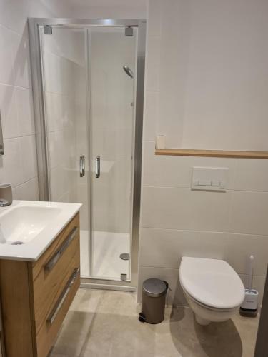 La salle de bains est pourvue d'une douche, de toilettes et d'un lavabo. dans l'établissement Bel Appartement Duplex, à Ventabren