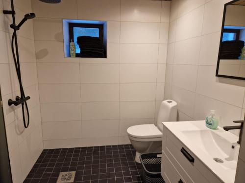 La salle de bains est pourvue de toilettes, d'un lavabo et d'un miroir. dans l'établissement Liivakõrtsi puhkemaja, à Rõmeda