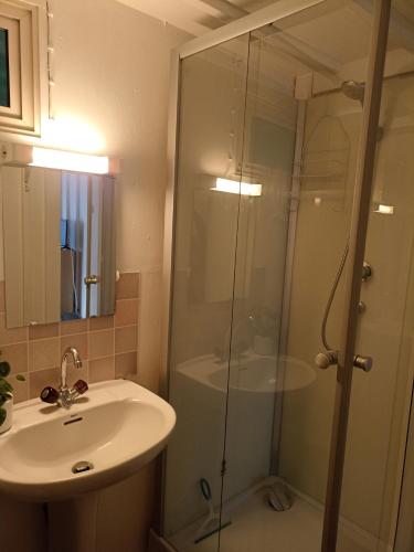 une salle de bain avec un lavabo et une douche en verre dans l'établissement Les cabanes de l'île aux oiseaux Guern, à Guern