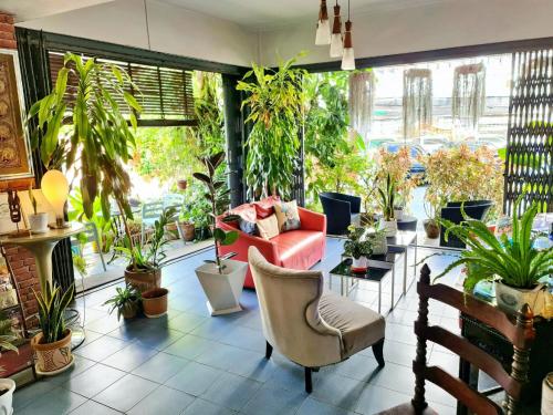 a living room filled with lots of plants at Bed and Terrace Guesthouse Chiang Mai in Chiang Mai
