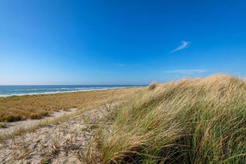 a sandy beach with tall grass and the ocean at Knus chalet met zwembad en sauna in Sint Maartensvlotbrug