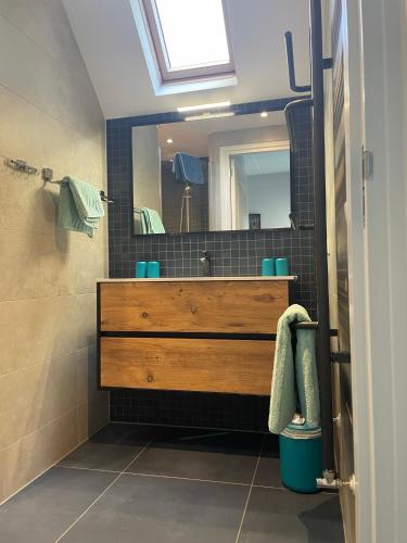 a bathroom with a sink and a large mirror at Villa Vlinder in Otterlo