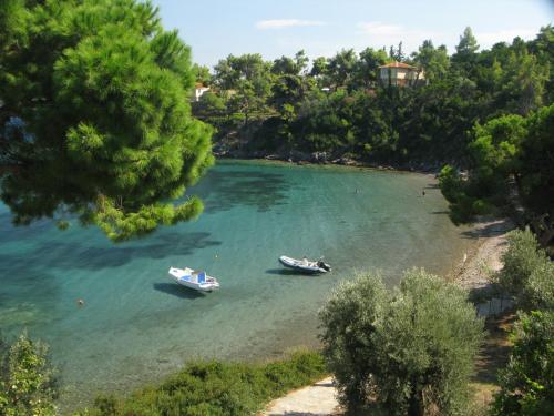 two boats in a body of water with trees at Marianna Studios in Aghios Petros Alonissos