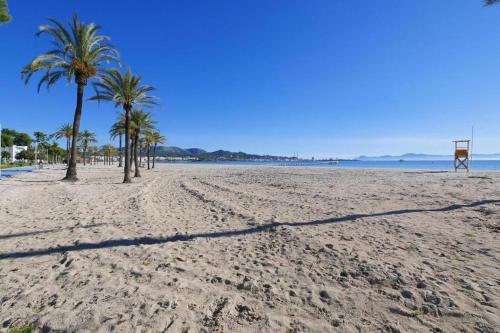 a beach with palm trees and a volley ball hoop at Luminoso chalet in Alcudia