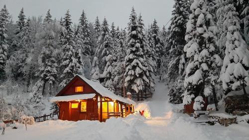 a cabin in the snow with snow covered trees at Chalet Woody in Stara Sušica