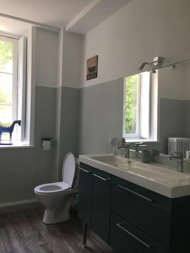 une salle de bain avec toilettes, lavabo et miroir dans l'établissement Grand appart 150m2 dans belle maison bourgeoise, à Vernaison