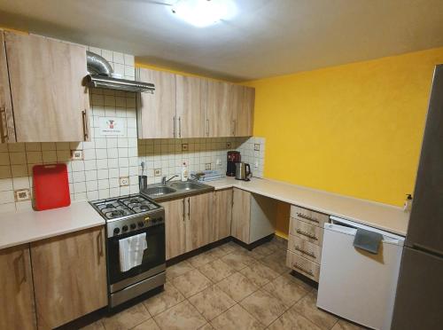 a kitchen with a stove and a yellow wall at Chata Zieleniecka in Duszniki Zdrój