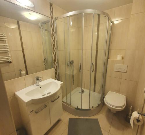 a bathroom with a shower and a sink and a toilet at Chata Zieleniecka in Duszniki Zdrój