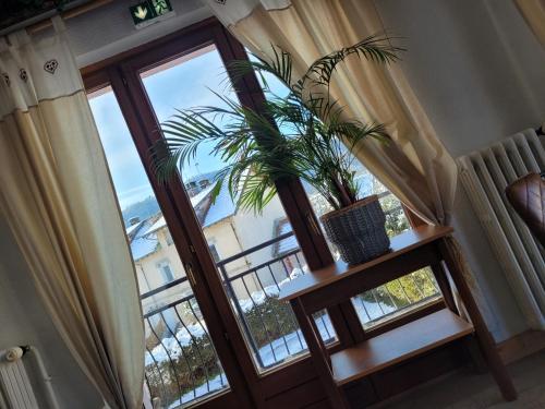 a door with a plant in a room with a window at Les Jolis Coeurs in Thiéfosse