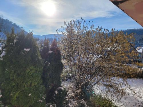 a view of a snow covered mountain with a tree at Les Jolis Coeurs in Thiéfosse