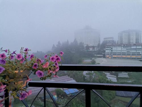 a view of a city from a balcony with flowers at Dzulstudio(Muslim) Nova Highland in Brinchang