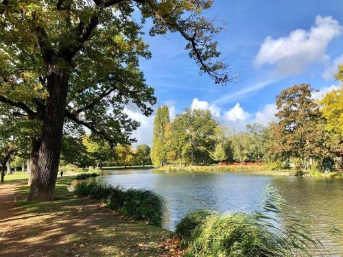 un arbre assis à côté d'un lac dans un parc dans l'établissement Studio au calme dans jardin à 30min de Paris avec NOUVELLE LITERIE, à Chatou