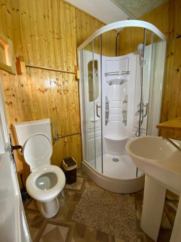 een badkamer met een toilet, een douche en een wastafel bij Cabana Elena in Gîrda de Sus