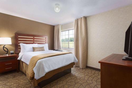 a hotel room with a bed and a window at Wyndham Garden Grand Rapids Airport in Grand Rapids