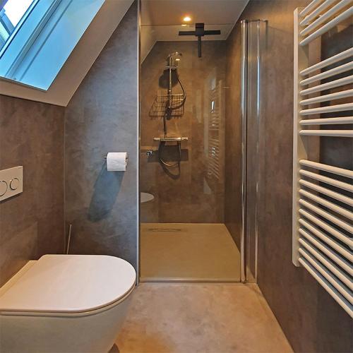 een badkamer met een douche, een toilet en een wastafel bij B&B Kamille in Delden