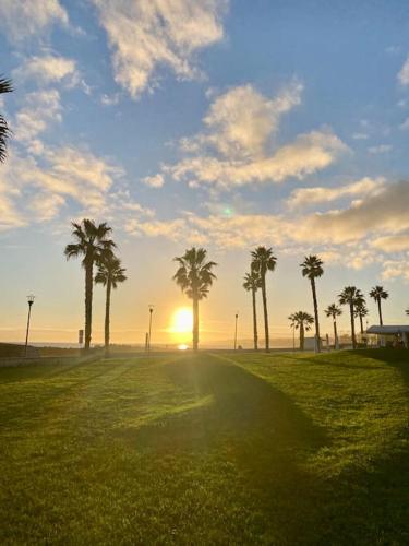 a group of palm trees in a field with the sunset at Riverside - apartment in Cruz Quebrada