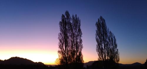 two trees in front of a sunset at La Casita Verde in Pucura