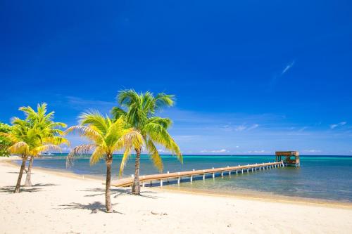 a beach with two palm trees and a pier at Lawson Rock - Yellowfish 110 Condo in Sandy Bay