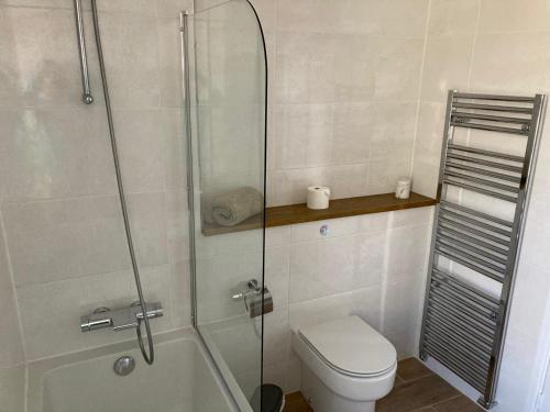 een badkamer met een douche, een toilet en een wastafel bij One Long Entry with Terrace Bay View in Lyme Regis