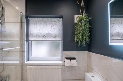 a bathroom with a window with a plant on the wall at Hazel House in West Bromwich