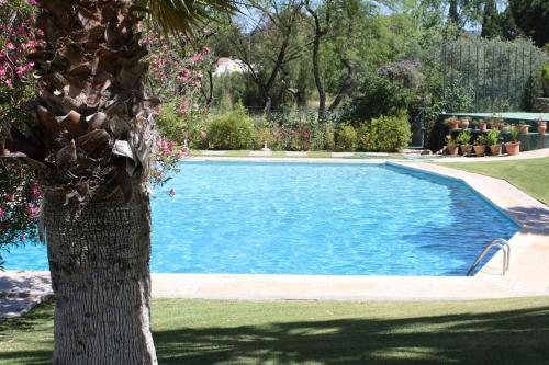 uma grande piscina ao lado de uma árvore em Mouragolf 3 bedroom townhouse em Vilamoura