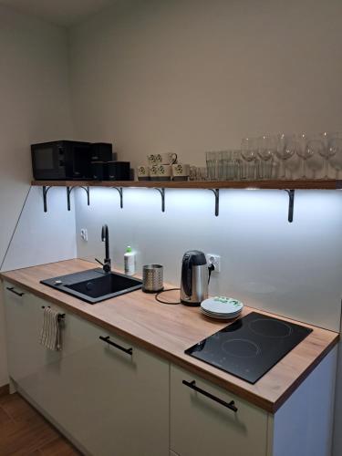 Η κουζίνα ή μικρή κουζίνα στο Apartamenty Zielony Liść