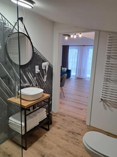 W łazience znajduje się umywalka i lustro. w obiekcie Apartamenty Zielony Liść w Ciechocinku