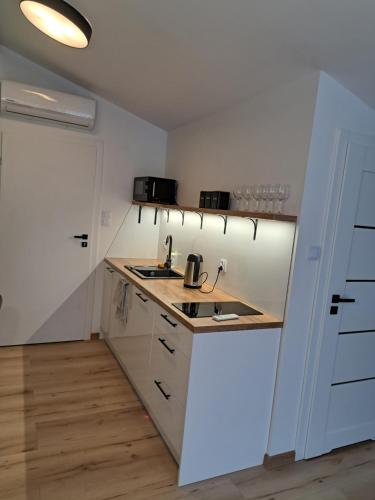 Η κουζίνα ή μικρή κουζίνα στο Apartamenty Zielony Liść