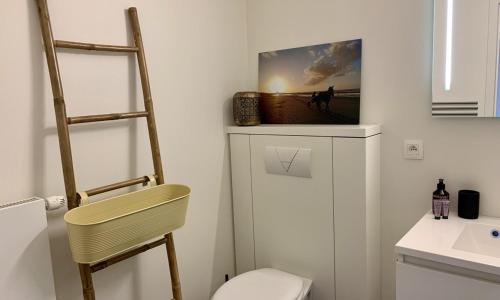 een badkamer met een ladder, een toilet en een wastafel bij Het Anker V2 Oostduinkerke in Oostduinkerke
