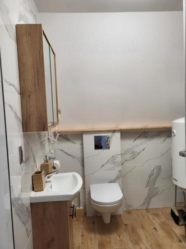 a bathroom with a white toilet and a sink at Domki na Sudeckiej Polanie in Stronie Śląskie
