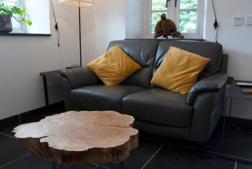 a cat sitting on top of a couch with a coffee table at Lower Winsford Apartments & Rooms in Bideford