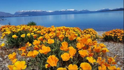 Gallery image of Portal Sureño in Dina Huapi
