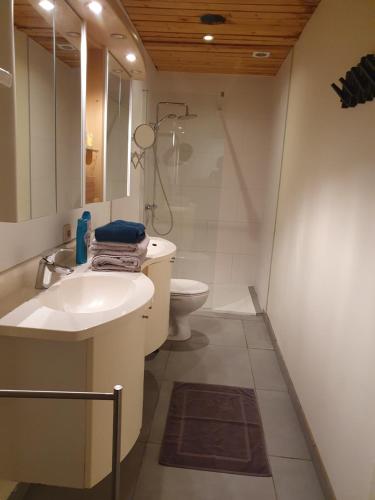 uma casa de banho com um lavatório e um WC em B&B De Vlaschaerd em Heule