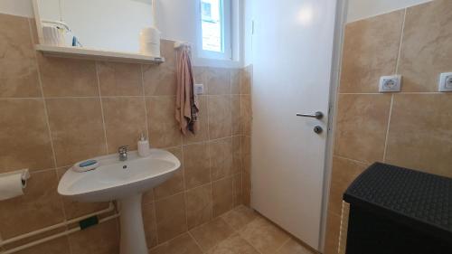 La salle de bains est pourvue d'un lavabo et d'une douche. dans l'établissement Apartman Mihajlovic Brus, à Brus