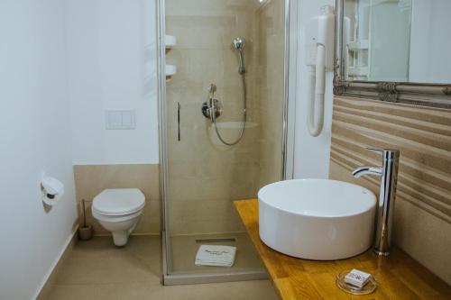 a bathroom with a shower and a sink and a toilet at Domeniul CRIS Vatra Dornei in Vatra Dornei