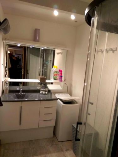 une salle de bain avec un lavabo, un miroir et une douche dans l'établissement Maison de campagne Conchil le temple, à Conchil-le-Temple