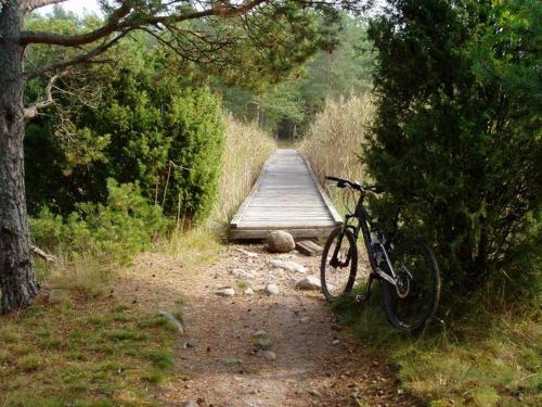 a bike parked next to a wooden bridge at Fully equipped cottage near the sea in Rockneby