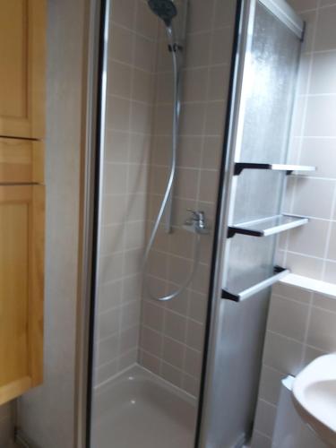 y baño con ducha y puerta de cristal. en Ferienwohnung Munzert, en Zell im Fichtelgebirge