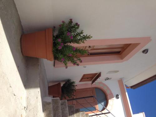 a building with a potted plant on the ceiling at Calipso Residence in Furore