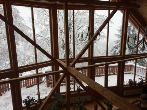 Carpathian Log Home зимой
