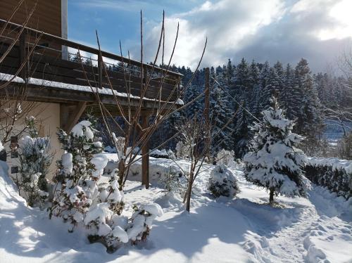 L'Eden de Floridylle – Photos 2