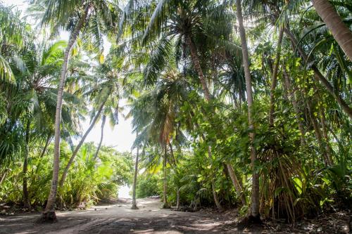 Jardín al aire libre en Dhonfulhafi Beach View