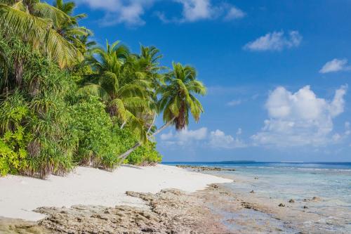 una playa con palmeras y el océano en Dhonfulhafi Beach View, en Maalhos