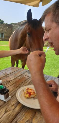a man eating pizza at a table with a horse at Aloe Inn Guest Farm in Piet Retief