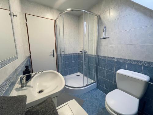a bathroom with a sink and a toilet and a shower at U Lupka - Ostrava in Ostrava